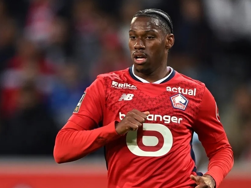 成为领域中 成为领域中